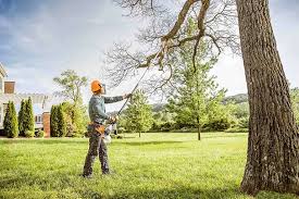 Best Lawn Mowing  in Oak Grove, MN